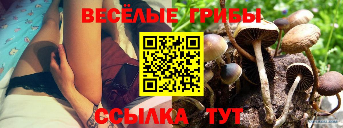 Галлюциногенные грибы MAGIC MUSHROOMS Волгоград