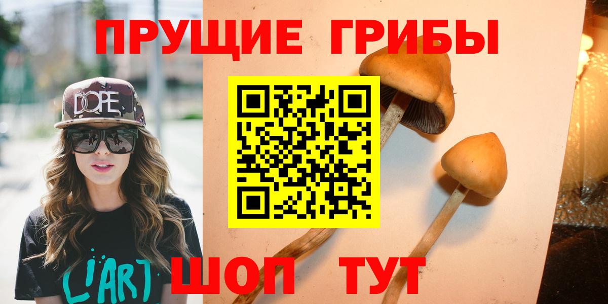 Псилоцибиновые грибы GOLDEN TEACHER  Галлюциногенные грибы Psilocybe  Волгоград  Вход с VPN 